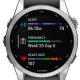 Часы Garmin Fenix 7S Серебристые изображение №624404