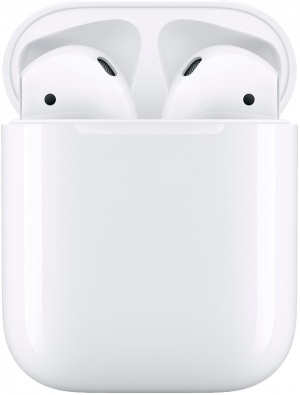 Беспроводные наушники Apple AirPods 2 Белые (MV7N2) изображение №628875