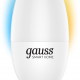 Умная лампочка Gauss CCT+DIM 5 Вт C37 E14 White изображение №646865