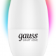 Умная лампочка Gauss 5 Вт C37 E14 RGBW White изображение №646874