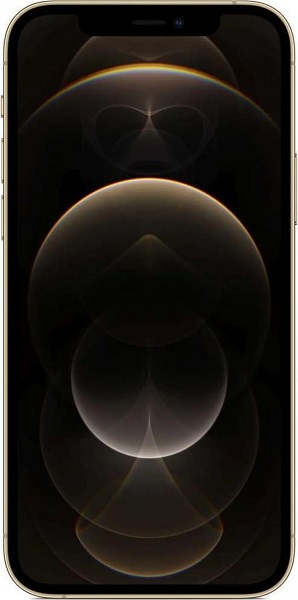 Купить Apple iPhone 12 Pro Max 256GB A2412 gold (золотой) изображение №516881