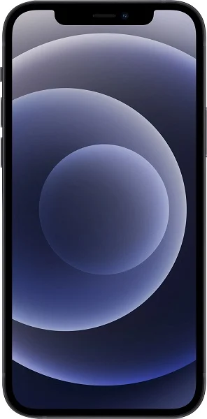 Купить Apple iPhone 12 256GB black (черный) изображение №517742