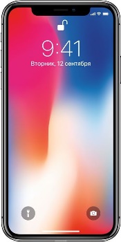 Купить Apple iPhone X 256GB space gray (серый космос) изображение №518455