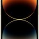 Купить Apple iPhone 14 Pro Max 1TB Dual: nano SIM + eSim gold (золотой) новый, не актив, без комплекта изображение №514243