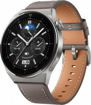 Часы HUAWEI Watch GT 3 Pro кожаный ремешок Серые (Odn-B19V) изображение №625377