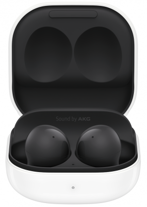 Беспроводные наушники Samsung Galaxy Buds2 Черные (SM-R177NZKACIS) изображение №628404