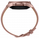 Часы Samsung Galaxy Watch 3 41mm bronze (SM-R850NZDACIS) изображение №626112